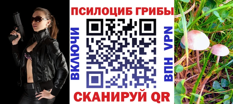 Галлюциногенные грибы мицелий Черняховск