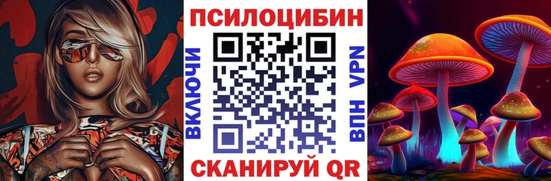 Галлюциногенные грибы мицелий  купить   kraken зеркало  Черняховск 
