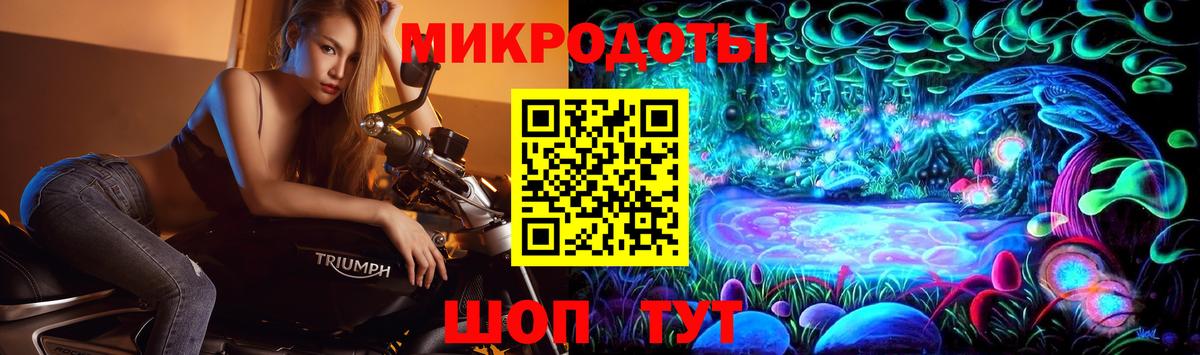 Галлюциногенные грибы Psilocybine cubensis Черняховск